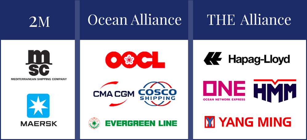 Ocean alliances strip
